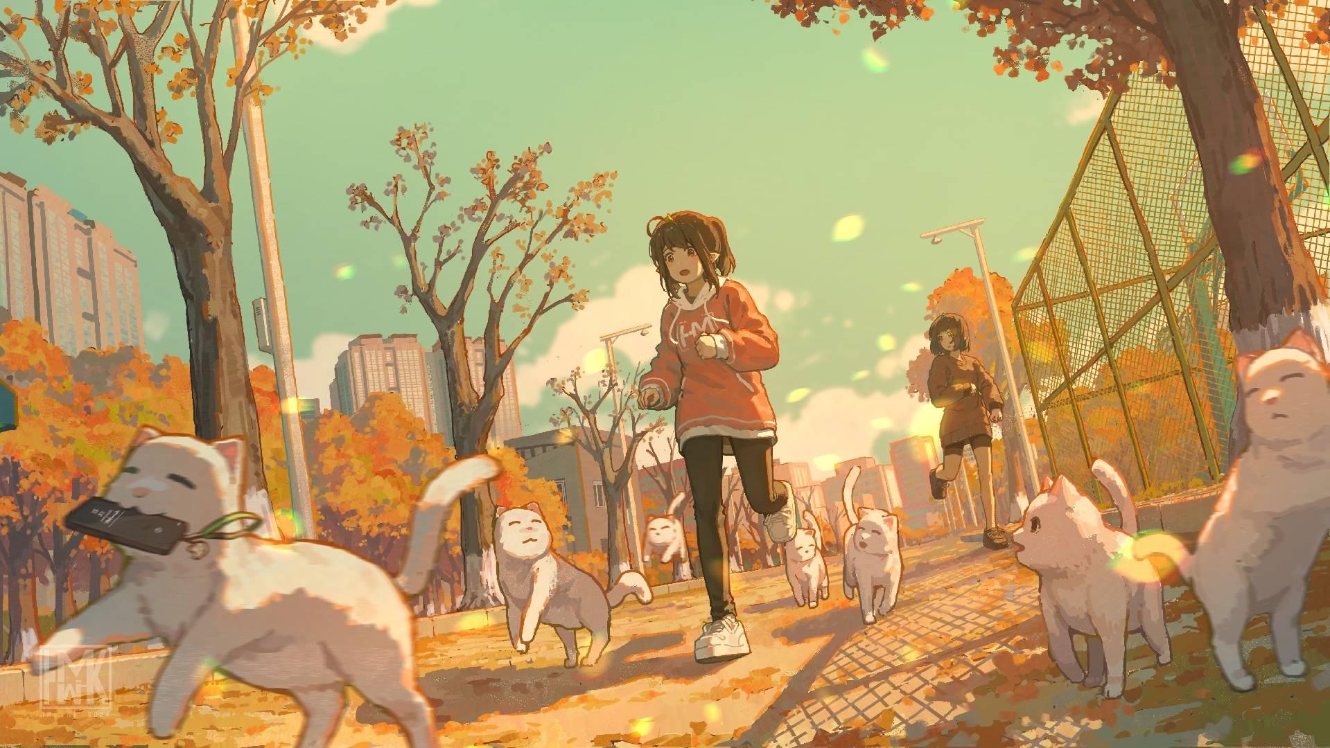Cover Image of the Post